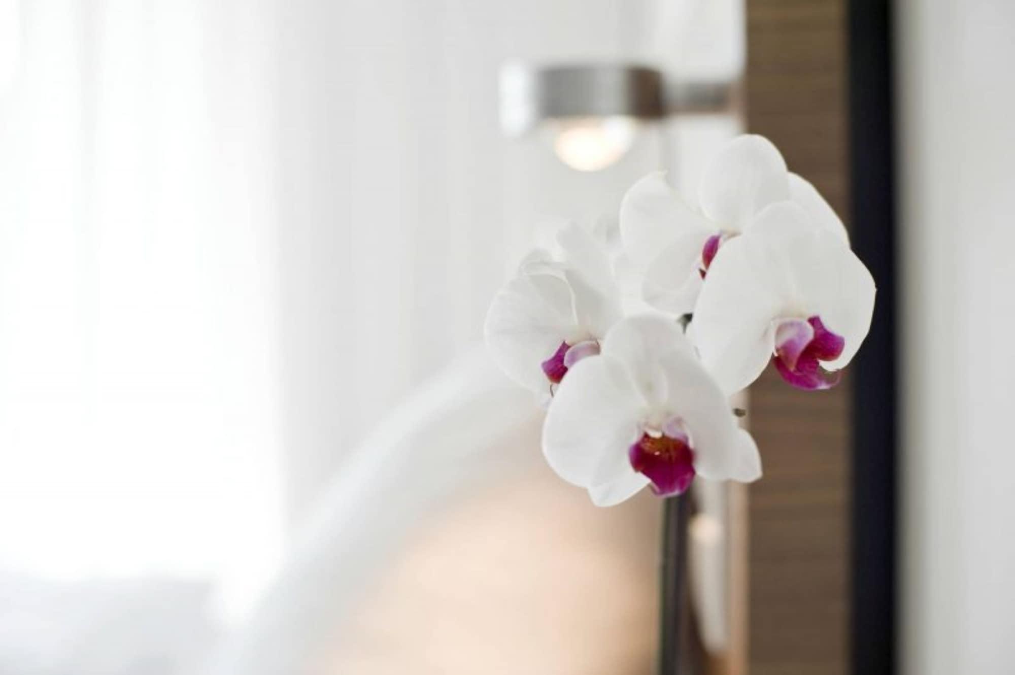 Constantia Hotel